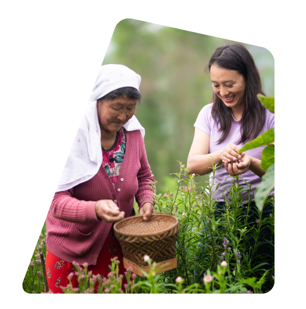 Descriptive Alt Text